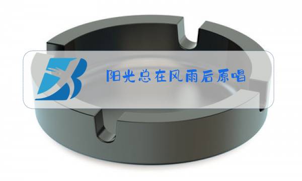 阳光总在风雨后原唱 下载mp3完整版图片